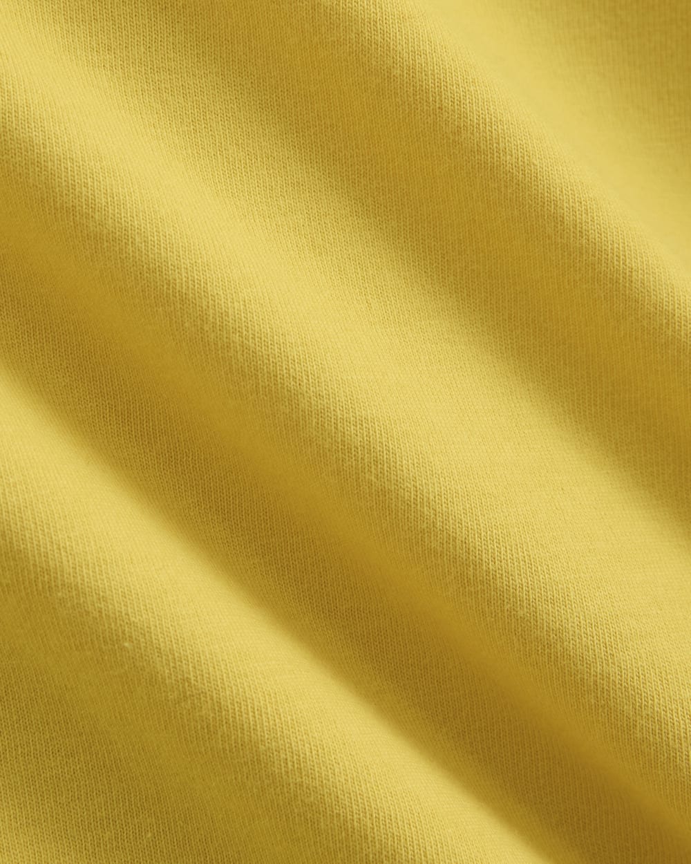 The Box-Cut Tee in Essential Cotton